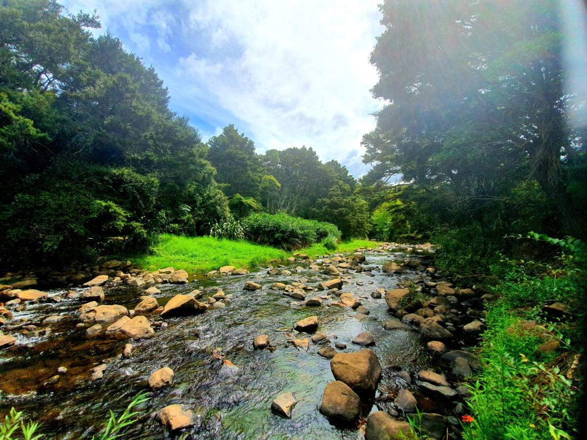 Kauri Coast Top 10 Holiday Park Kaihu ภายนอก รูปภาพ